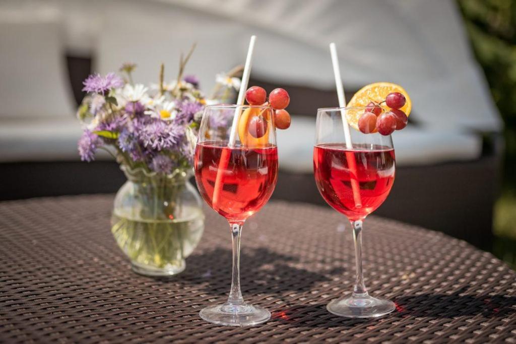 Hotel Donaublick Scheer Екстер'єр фото